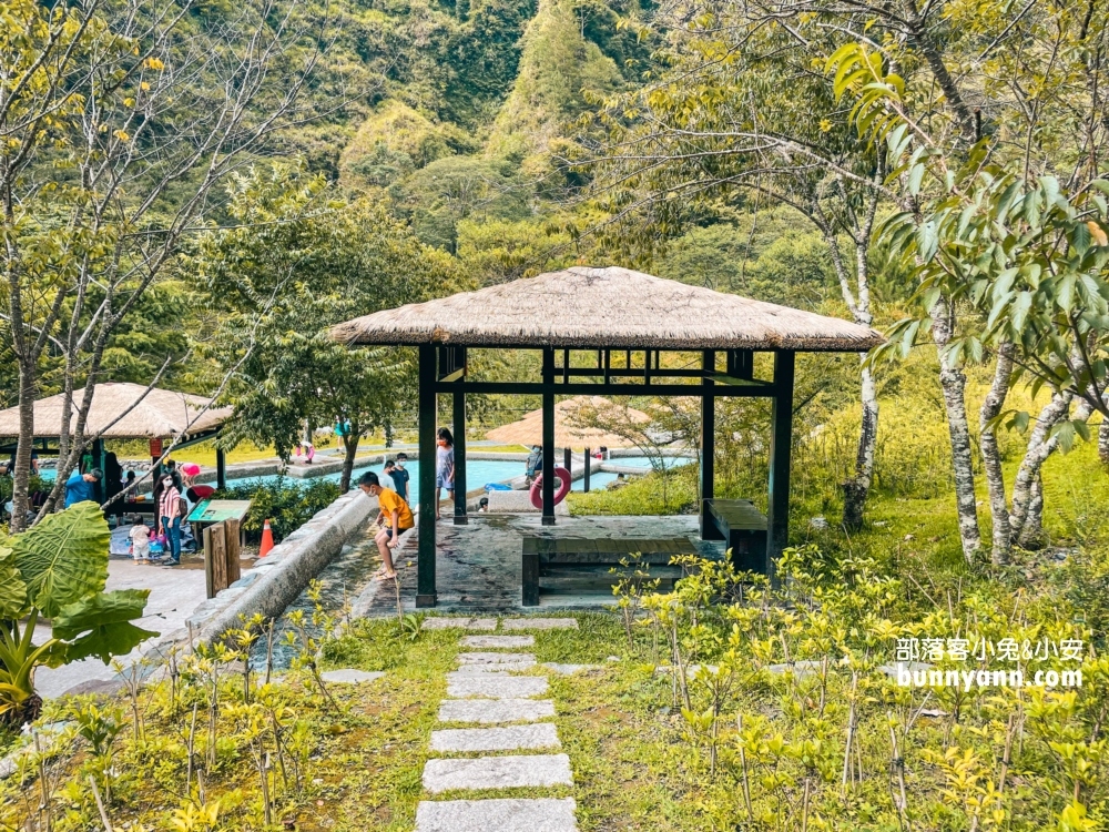 🌲八仙山森林步道一日遊攻略｜谷關親子景點推薦、森林瀑布＆戲水池超放鬆！