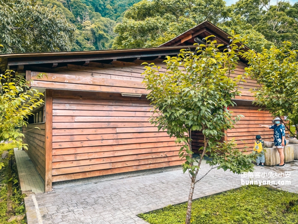 🌲八仙山森林步道一日遊攻略｜谷關親子景點推薦、森林瀑布＆戲水池超放鬆！