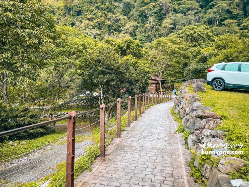 🌲八仙山森林步道一日遊攻略｜谷關親子景點推薦、森林瀑布＆戲水池超放鬆！