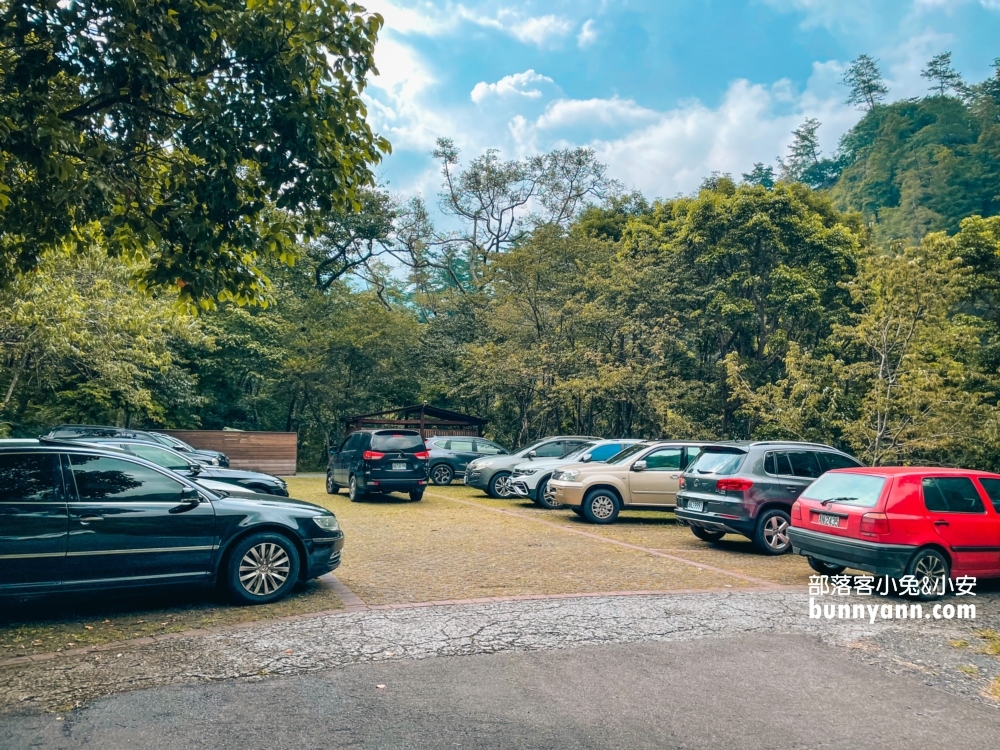 🌲八仙山森林步道一日遊攻略｜谷關親子景點推薦、森林瀑布＆戲水池超放鬆！