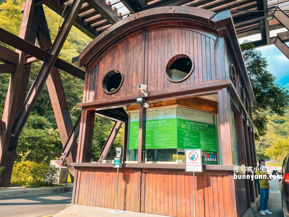 🌲八仙山森林步道一日遊攻略｜谷關親子景點推薦、森林瀑布＆戲水池超放鬆！