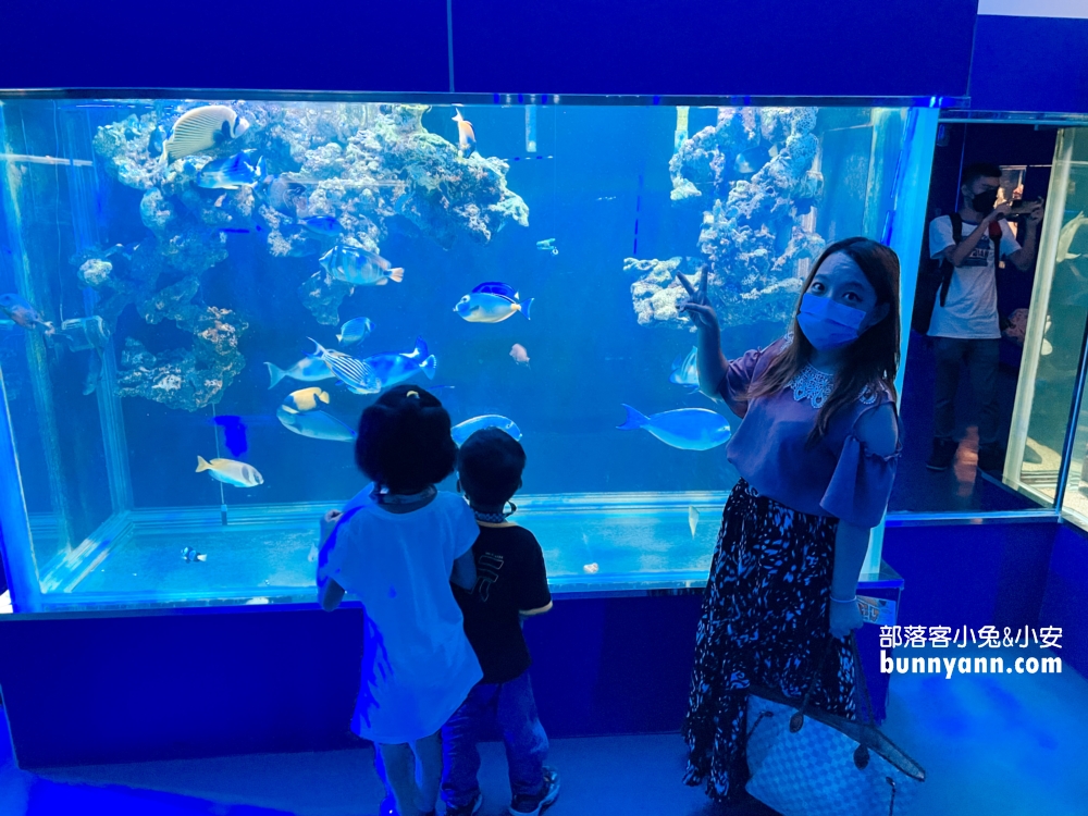 屏東【長治水族館】有很多稀奇古怪的魚類和蝦子，門票價格也很親民