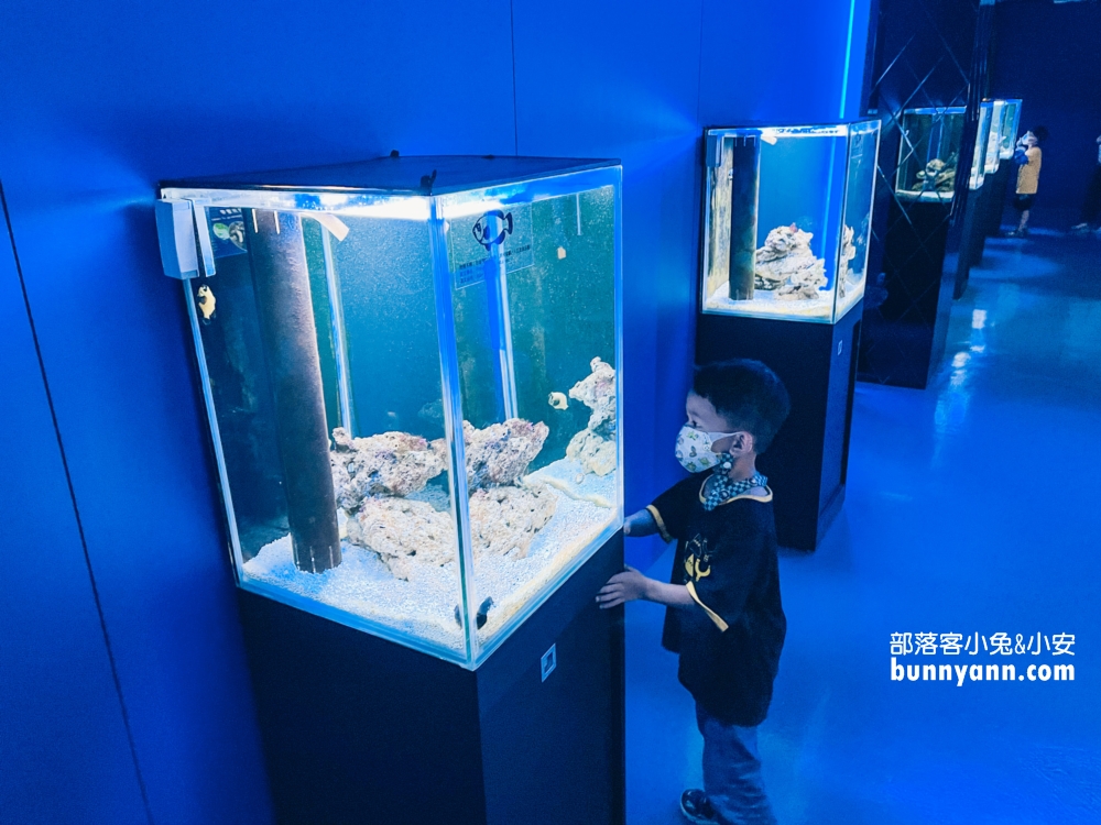 屏東【長治水族館】有很多稀奇古怪的魚類和蝦子，門票價格也很親民