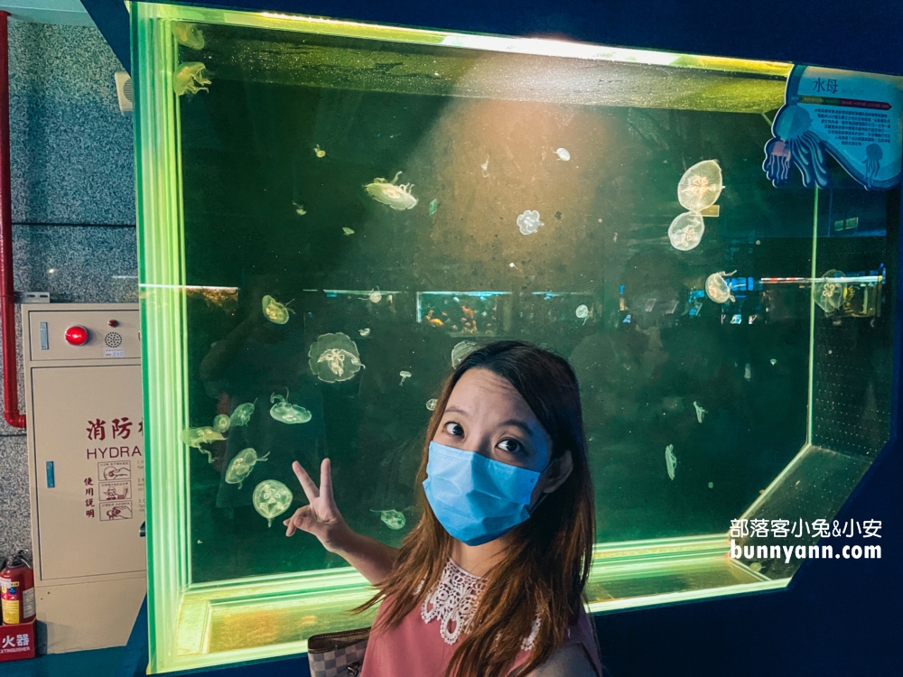 屏東【長治水族館】有很多稀奇古怪的魚類和蝦子，門票價格也很親民