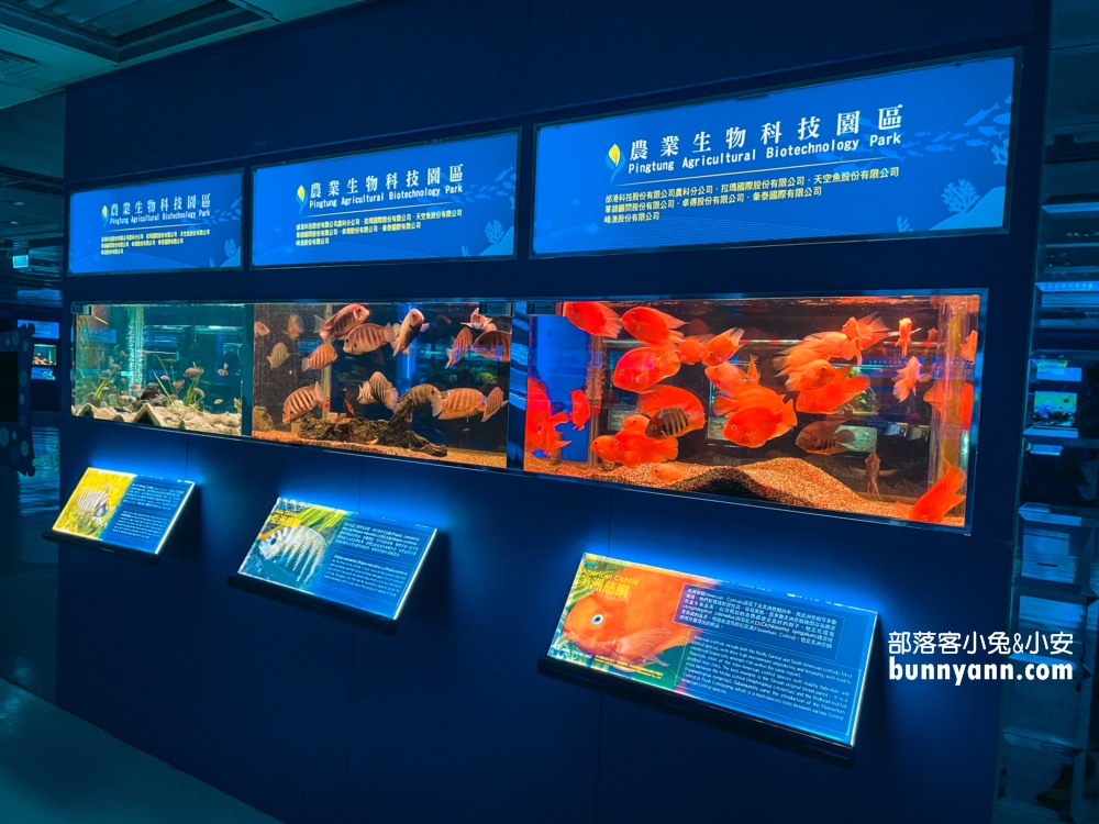 屏東【長治水族館】有很多稀奇古怪的魚類和蝦子，門票價格也很親民