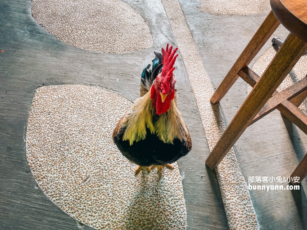 台東【米國學校】關山鎮農會休閒旅遊中心(營業時間)