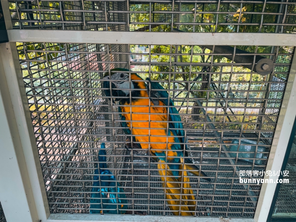 大溪蘇家莊園｜美拍萬坪莊園與十多種鳥類動物(門票資訊)
