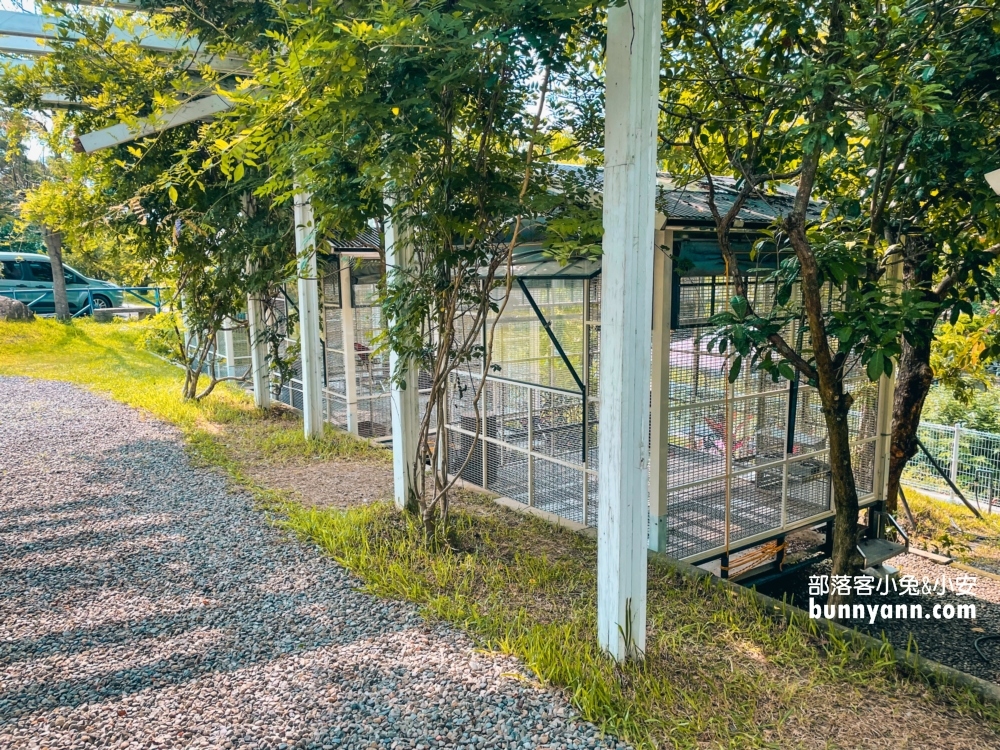 大溪蘇家莊園｜美拍萬坪莊園與十多種鳥類動物(門票資訊)