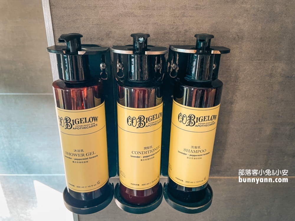 宜蘭品文旅礁溪(hotel pin)住一晚，最詳細親子溫泉飯店一泊二食