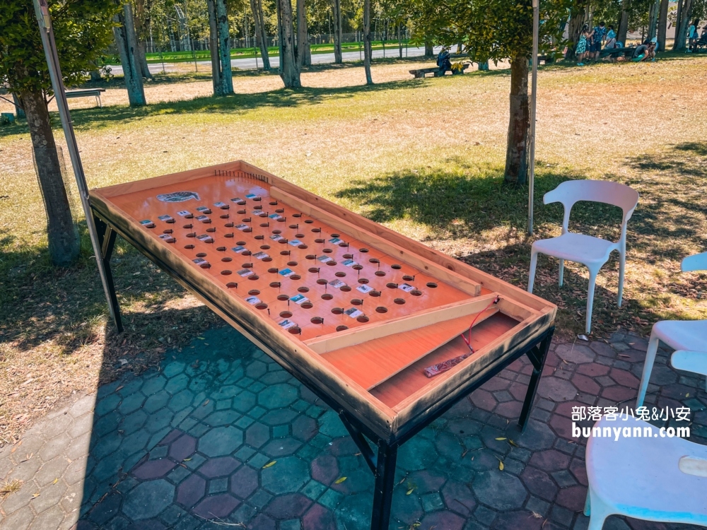 台東小奈良！鹿野梅花鹿公園，門票120元就能與小鹿斑比互動真棒