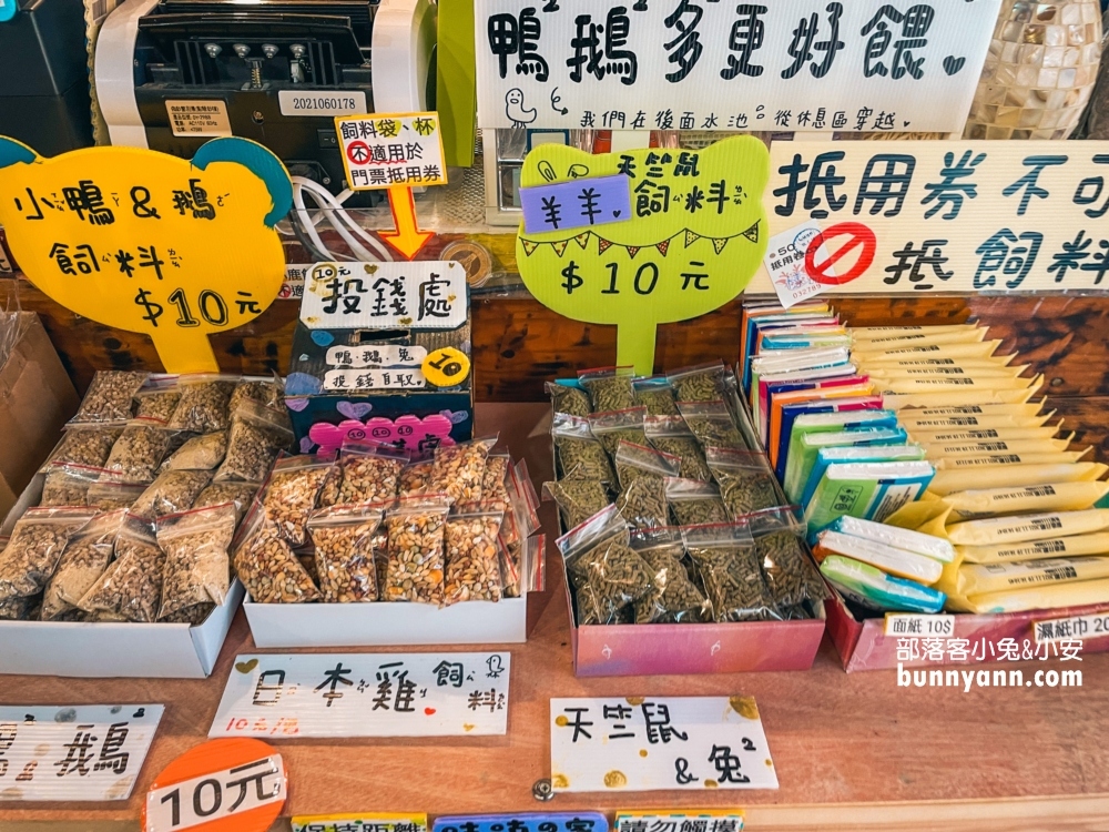 台東小奈良！鹿野梅花鹿公園，門票120元就能與小鹿斑比互動真棒