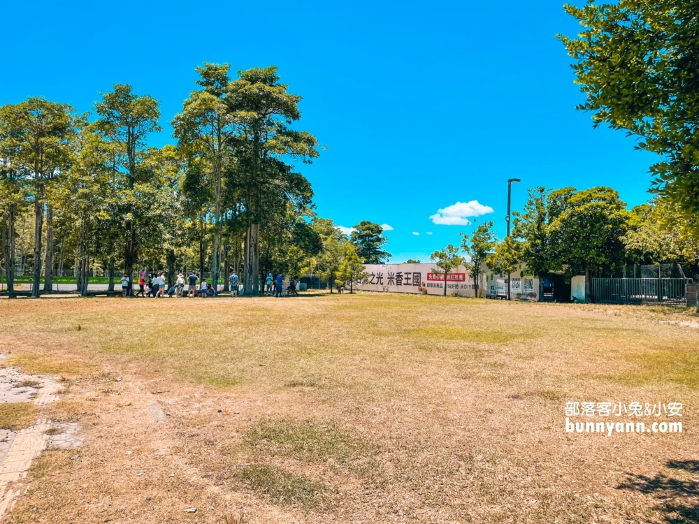 台東小奈良！鹿野梅花鹿公園，門票120元就能與小鹿斑比互動真棒