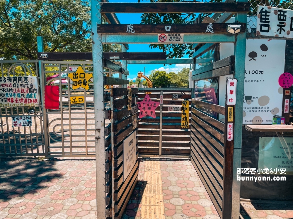 台東小奈良！鹿野梅花鹿公園，門票120元就能與小鹿斑比互動真棒
