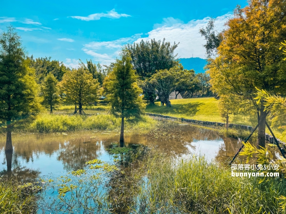桃園【三坑自然生態公園】暢遊綠色湖畔步道，夏天來還可以玩水消暑