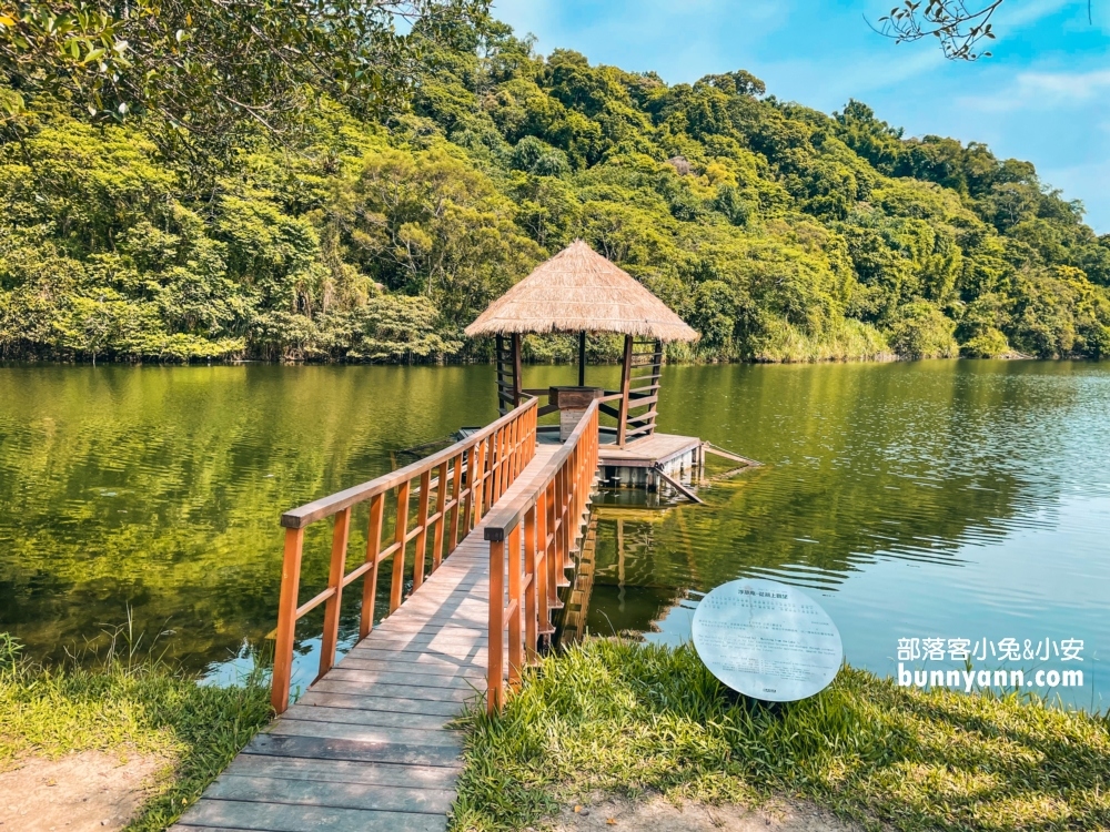 桃園【三坑自然生態公園】暢遊綠色湖畔步道，夏天來還可以玩水消暑