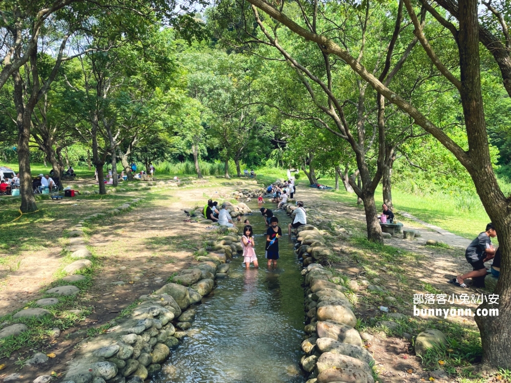 桃園【三坑自然生態公園】暢遊綠色湖畔步道，夏天來還可以玩水消暑