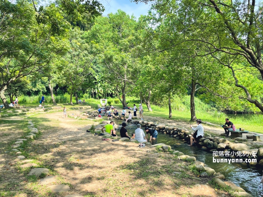 桃園【三坑自然生態公園】暢遊綠色湖畔步道，夏天來還可以玩水消暑