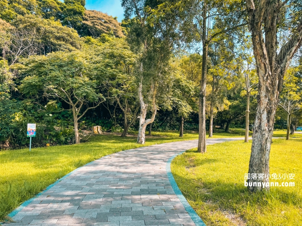 桃園【三坑自然生態公園】暢遊綠色湖畔步道，夏天來還可以玩水消暑