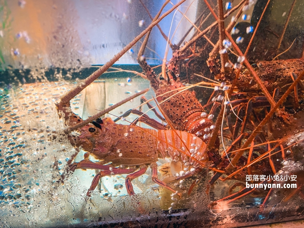 新北【大益發活海鮮餐廳】平價又美味的非漁港邊海產店