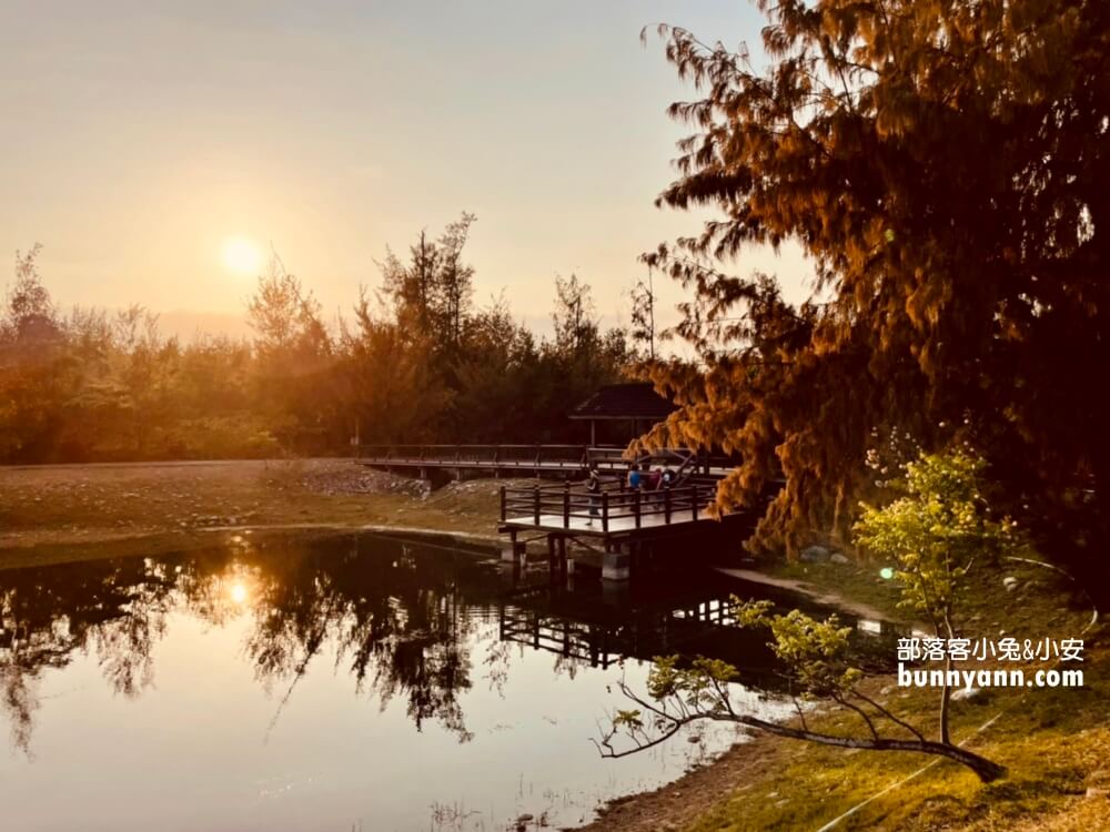 2024【台東森林公園】走進森林賞琵琶湖，騎單車漫遊好地方