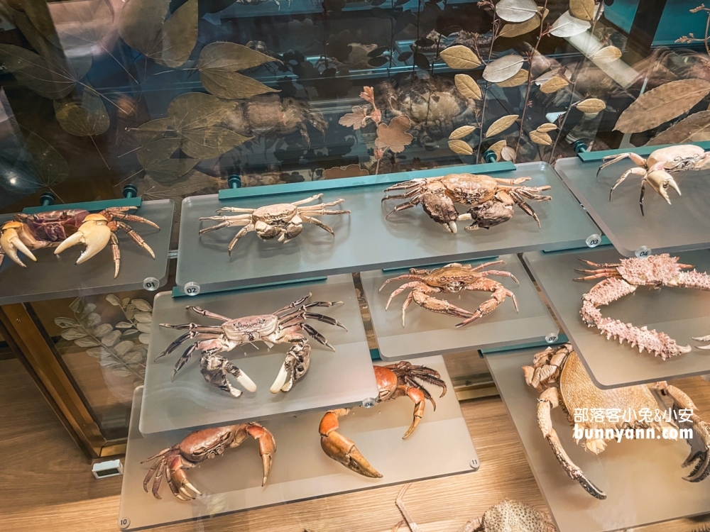 國立臺灣博物館古生物館推薦土銀展示館從神秘金庫及恐龍化石隨你拍