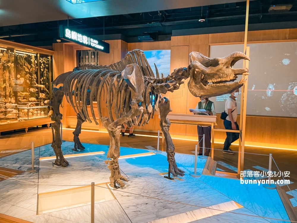 國立臺灣博物館古生物館推薦土銀展示館從神秘金庫及恐龍化石隨你拍