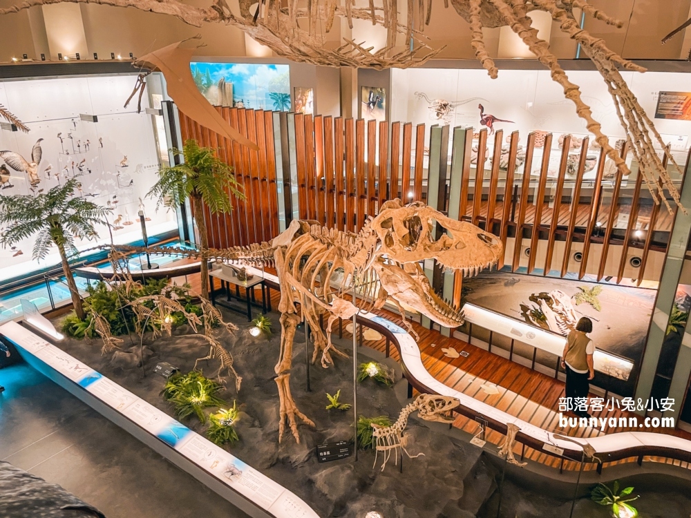 國立臺灣博物館古生物館推薦土銀展示館從神秘金庫及恐龍化石隨你拍