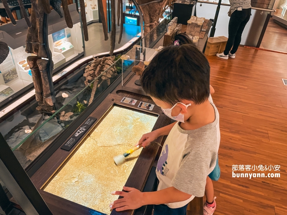 國立臺灣博物館古生物館推薦土銀展示館從神秘金庫及恐龍化石隨你拍