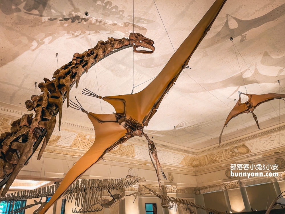 國立臺灣博物館古生物館推薦土銀展示館從神秘金庫及恐龍化石隨你拍