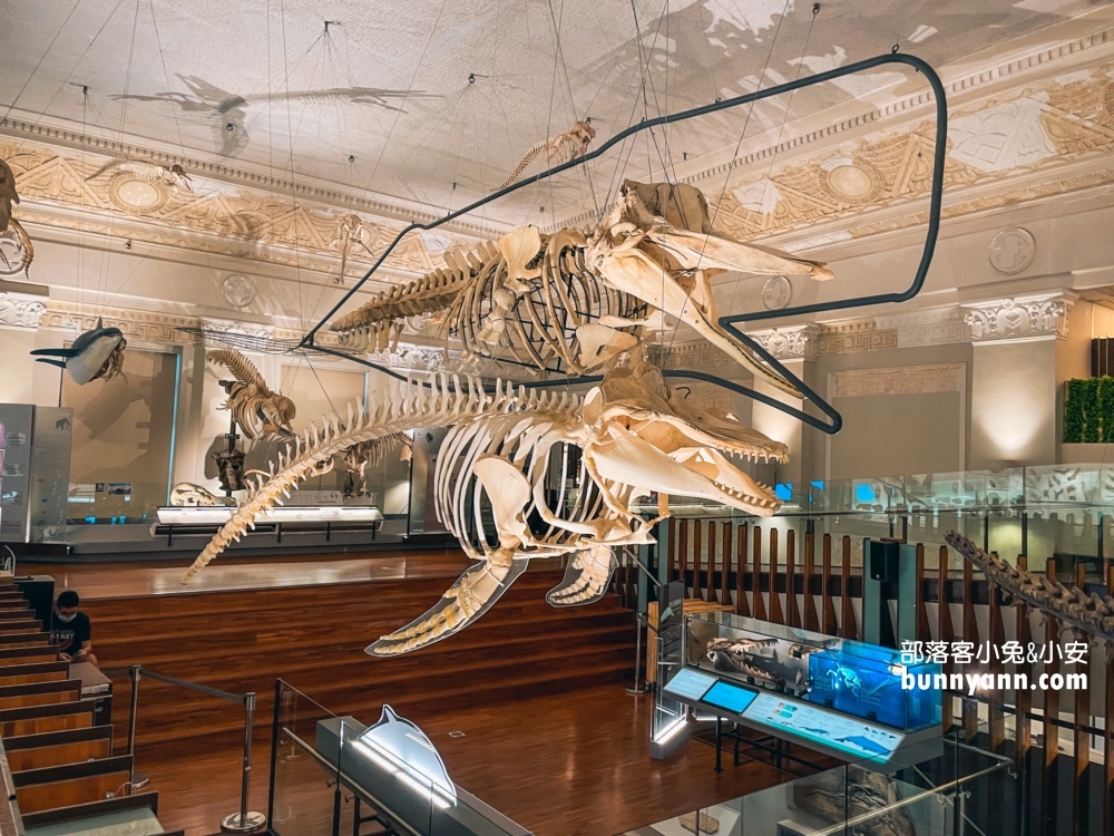 國立臺灣博物館古生物館推薦土銀展示館從神秘金庫及恐龍化石隨你拍