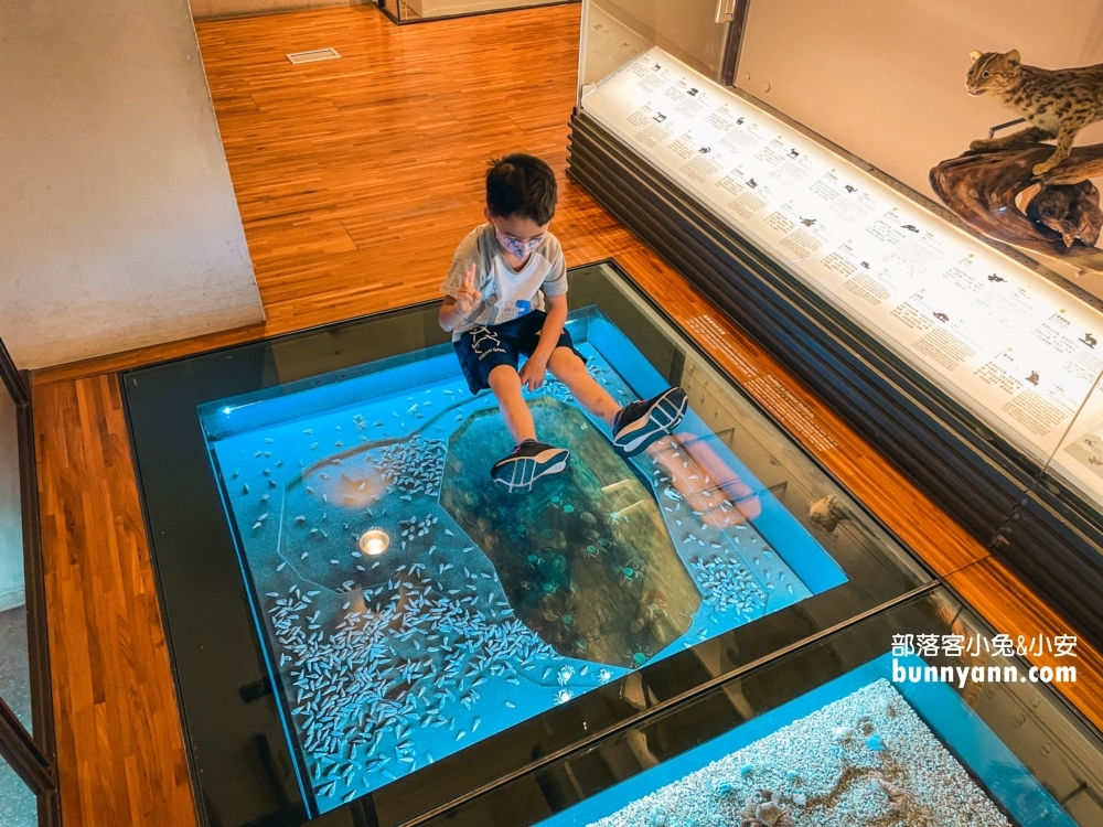 國立臺灣博物館古生物館推薦土銀展示館從神秘金庫及恐龍化石隨你拍