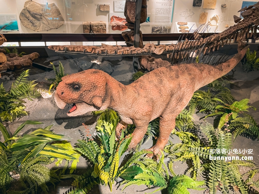 國立臺灣博物館古生物館推薦土銀展示館從神秘金庫及恐龍化石隨你拍
