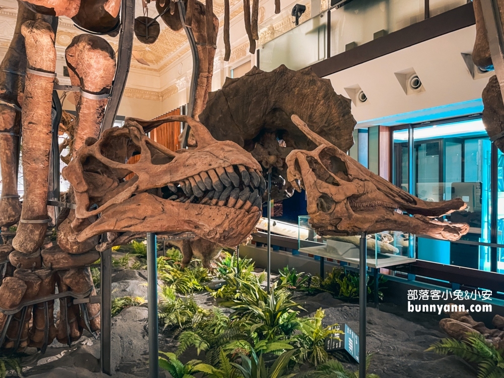 國立臺灣博物館古生物館推薦土銀展示館從神秘金庫及恐龍化石隨你拍