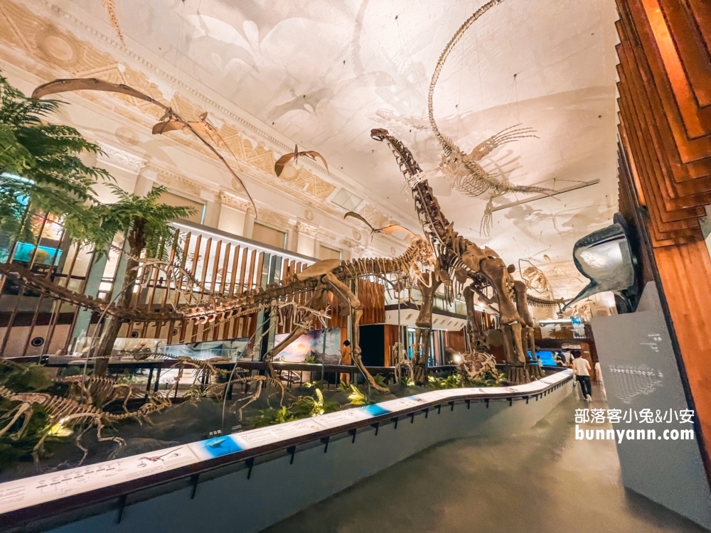 國立臺灣博物館古生物館推薦土銀展示館從神秘金庫及恐龍化石隨你拍