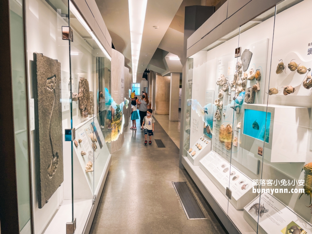國立臺灣博物館古生物館推薦土銀展示館從神秘金庫及恐龍化石隨你拍