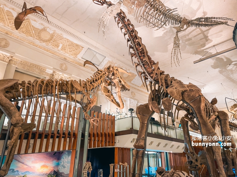 國立臺灣博物館古生物館推薦土銀展示館從神秘金庫及恐龍化石隨你拍