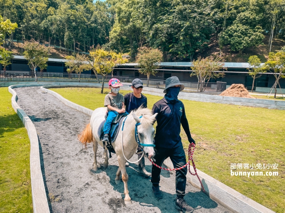 南投【九九峰動物樂園】超過百種鳥類一次看夠！一票到底玩翻天