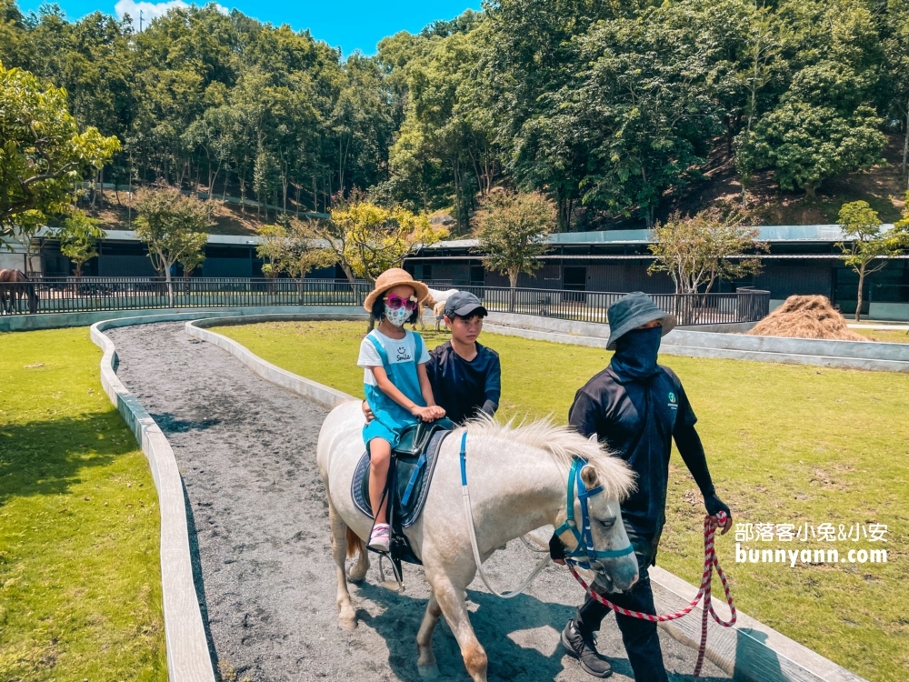 2025【九九峰動物樂園】南投最大鳥類園區一票玩到底(攻略)