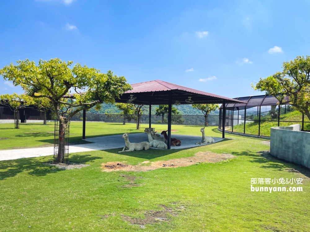 南投【九九峰動物樂園】超過百種鳥類一次看夠！一票到底玩翻天