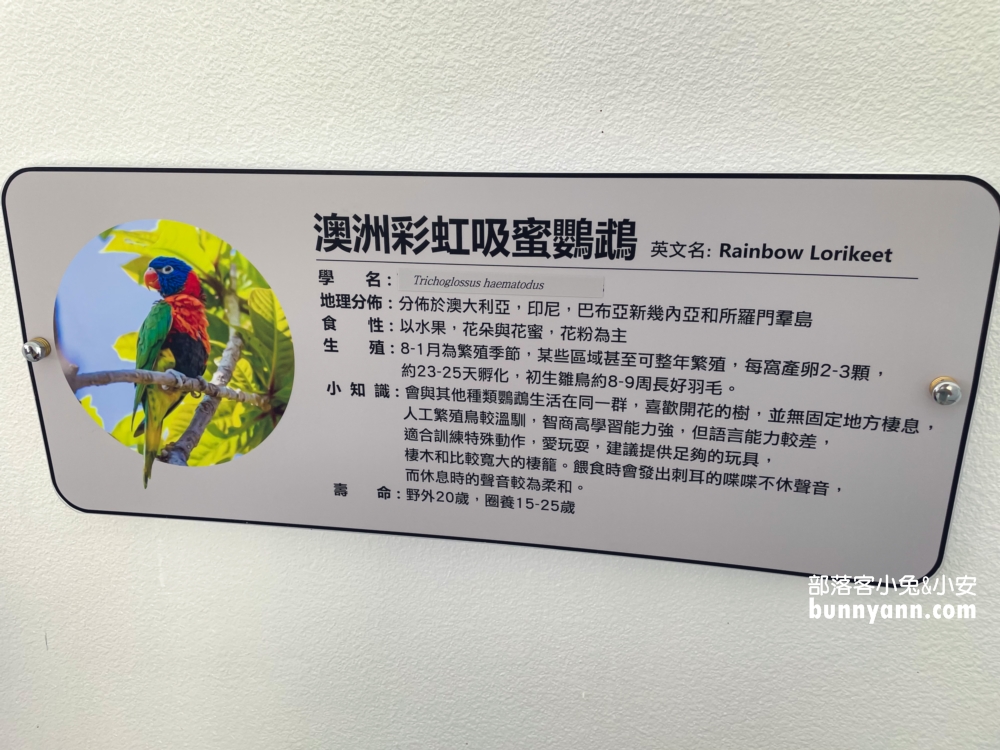 南投【九九峰動物樂園】超過百種鳥類一次看夠！一票到底玩翻天