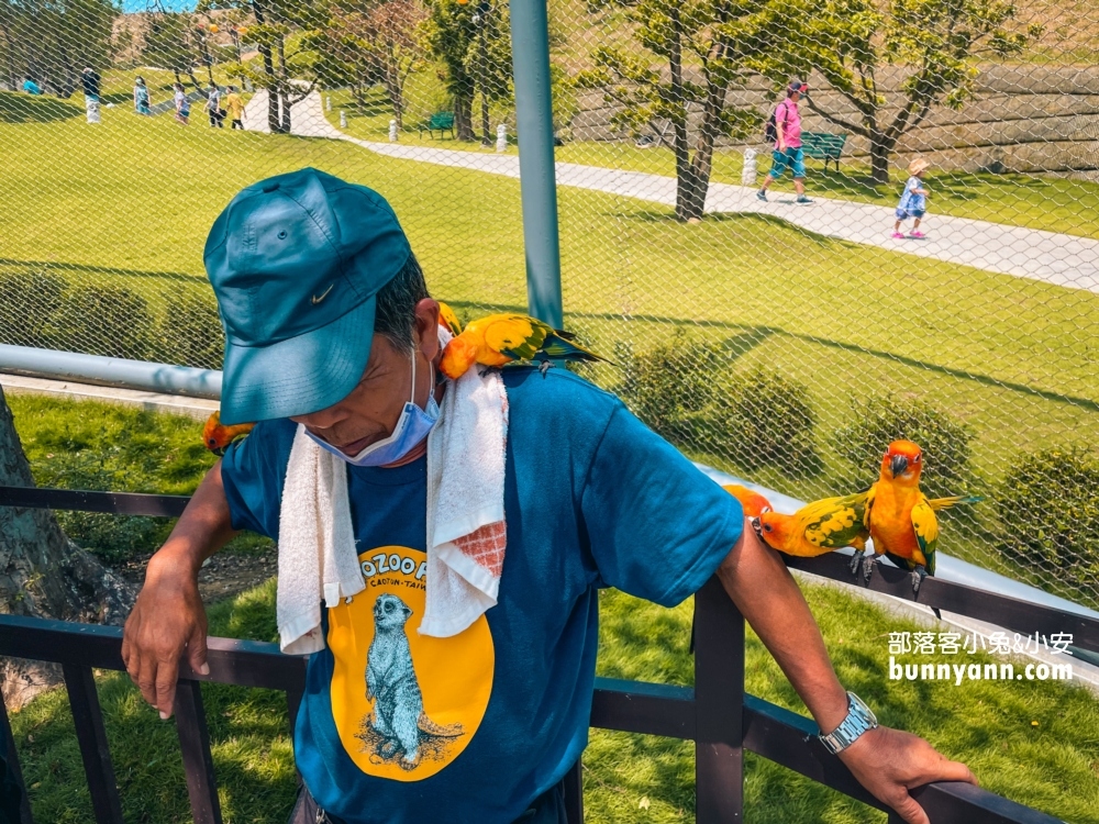南投【九九峰動物樂園】超過百種鳥類一次看夠！一票到底玩翻天