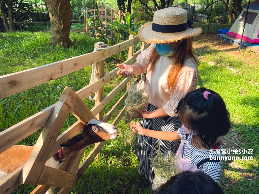 【穀倉Studio攝影棚】桃園室內夢幻莊園，入園門票優惠整理!!