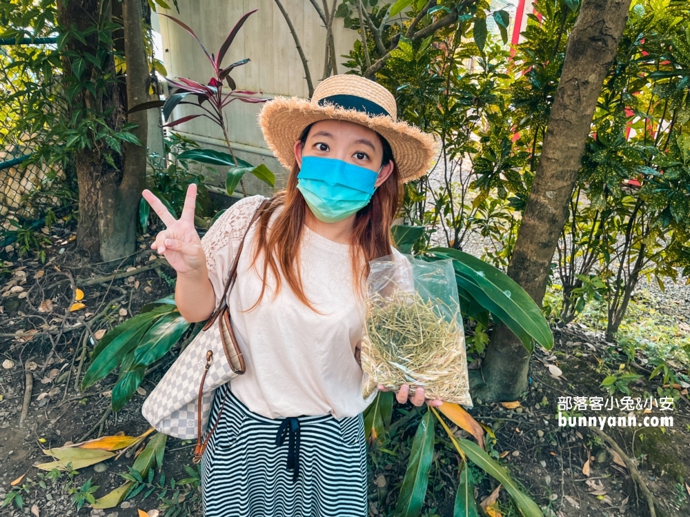 【穀倉Studio攝影棚】桃園室內夢幻莊園，入園門票優惠整理!!