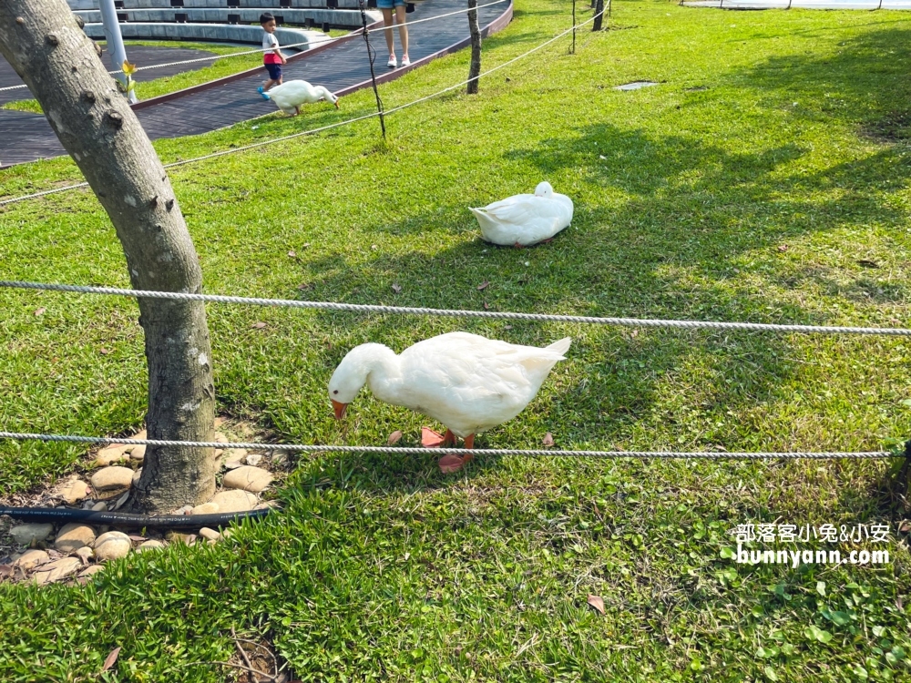 桃園「大有梯田生態公園」戶外超大磨石子溜滑梯，絕對是帶小孩放電的好地方