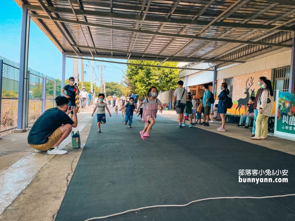 蘆竹景點》山腳鹿場水鹿之家，來跟小鹿賽跑，餵小鹿吃牧草。