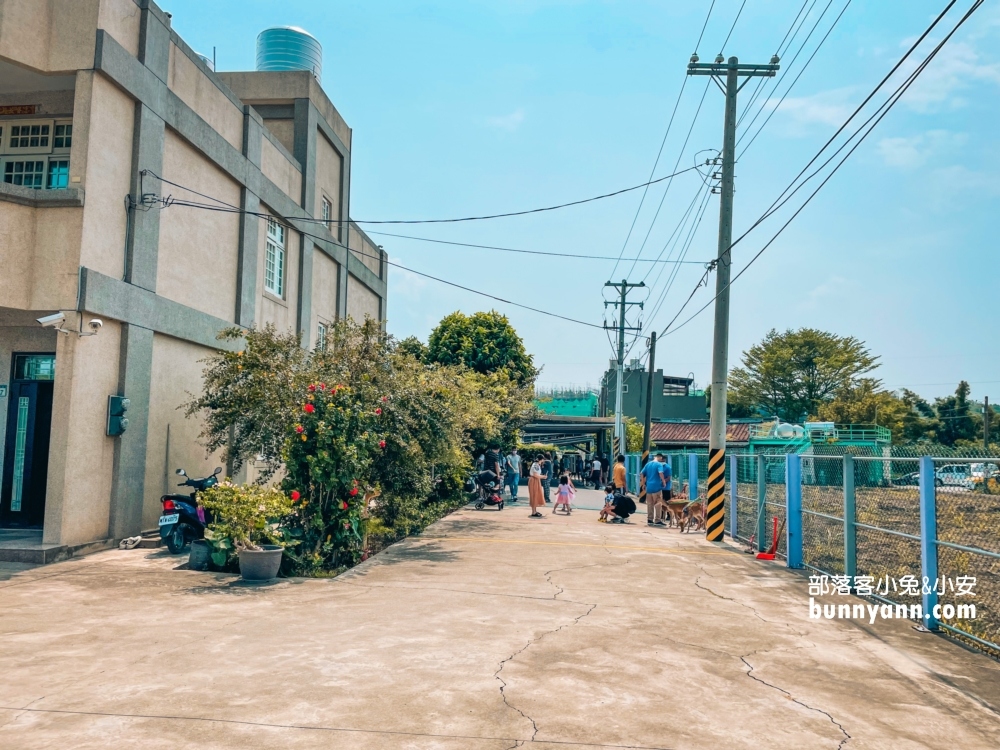 蘆竹景點》山腳鹿場水鹿之家，來跟小鹿賽跑，餵小鹿吃牧草。