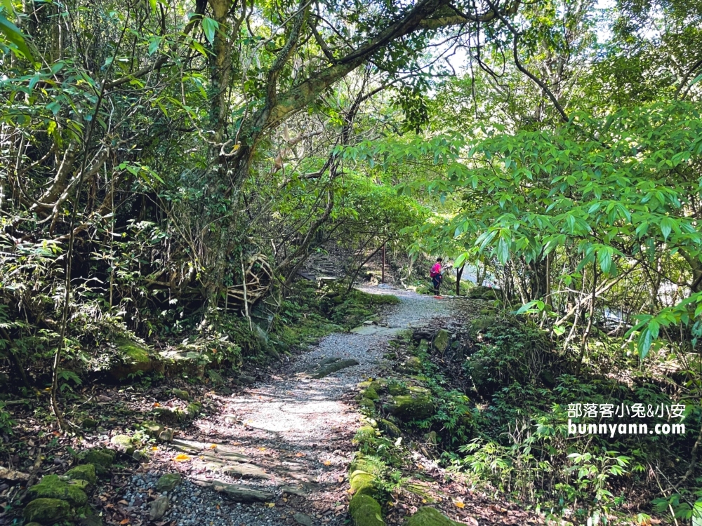 基隆【暖東峽谷步道】從入口處到瀑布來回只要30分鐘輕鬆走