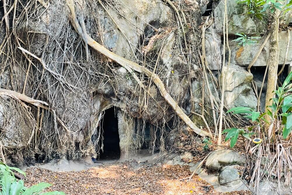 台南版吳哥窟「楠西萬佛寺」超誇張鐘乳石洞，預約參觀方法。