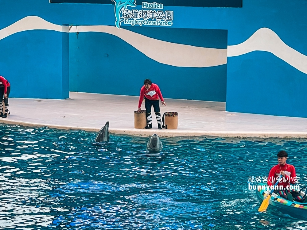 花蓮最佳親子景點，遠雄海洋公園遊樂設施必玩攻略