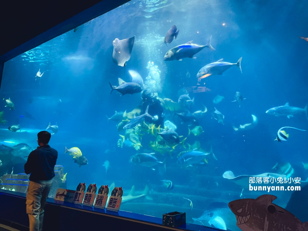 花蓮最佳親子景點，遠雄海洋公園遊樂設施必玩攻略